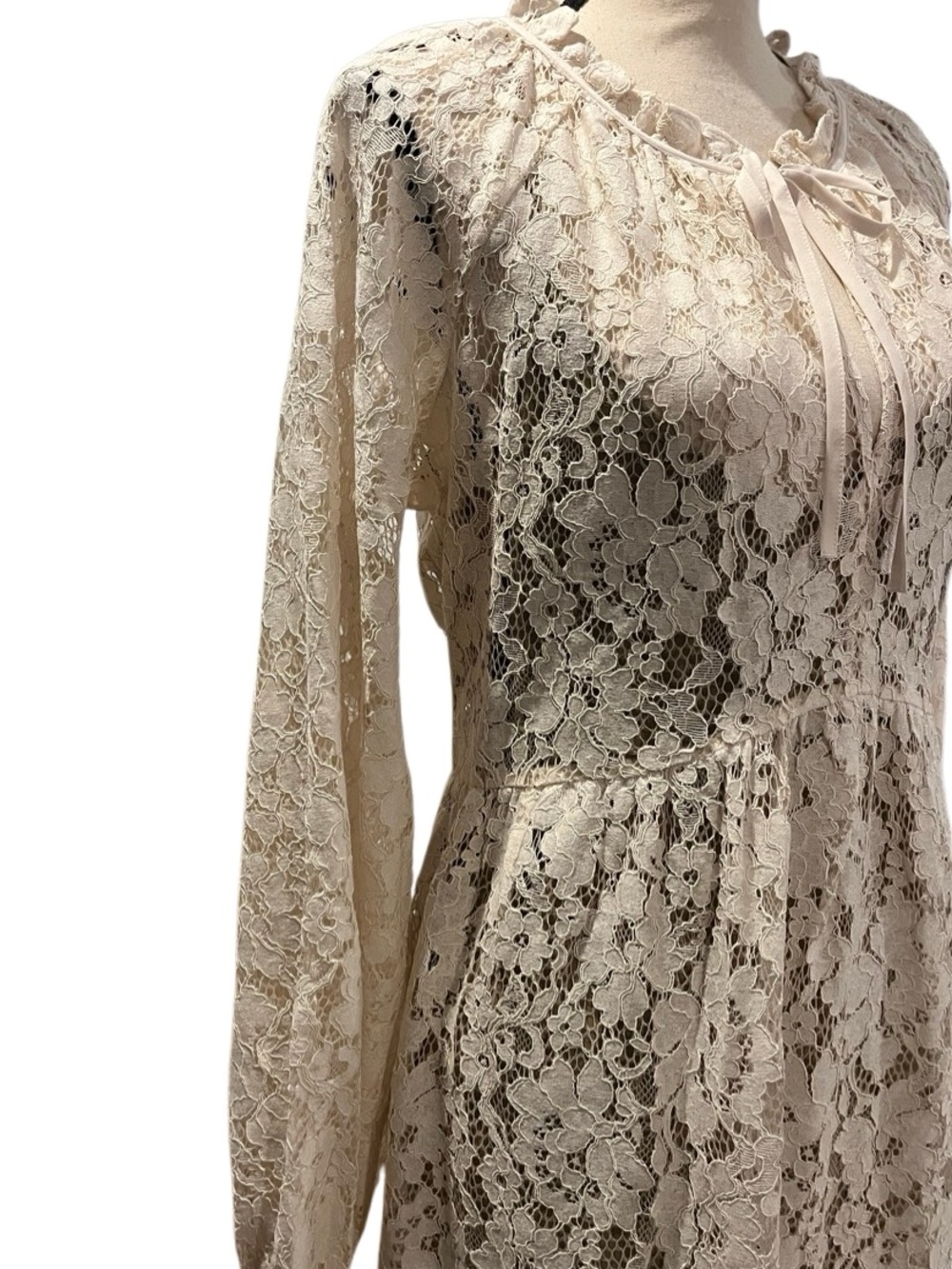 LOFT Floral Lace Tie-Neck Flounce Mini Dress - Picture 6 of 12